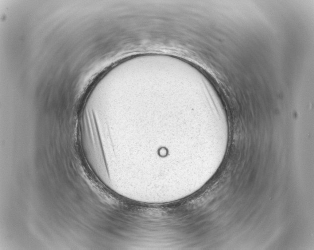 X0000087031507200705141909