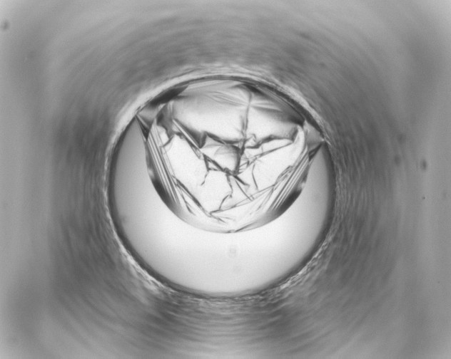 X0000087031508200705141909