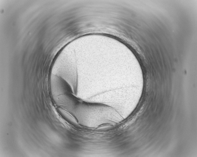 X0000087031513200705141909