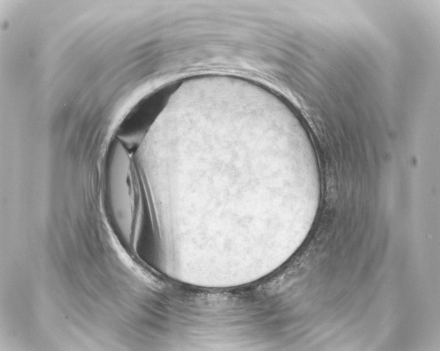 X0000087031515200705141909