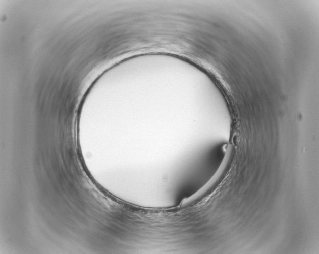 X0000087031516200705141909