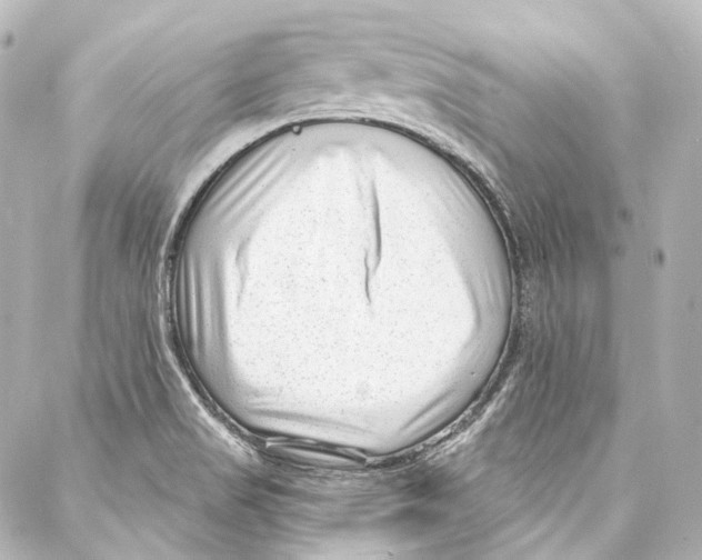 X0000087031517200705141909