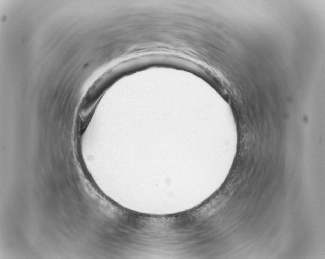 X0000087031518200705141909