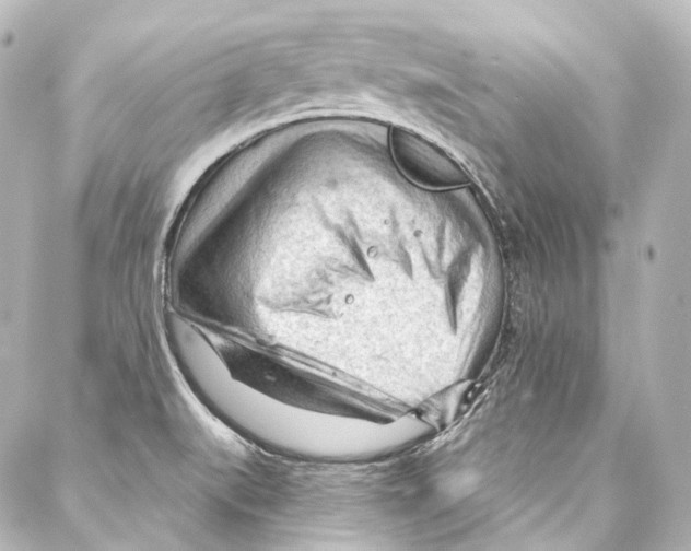 X0000087031519200705141909