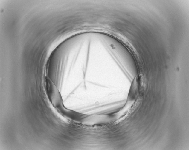 X0000087031520200705141909