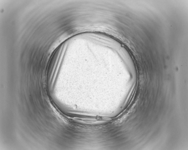 X0000087031521200705141909