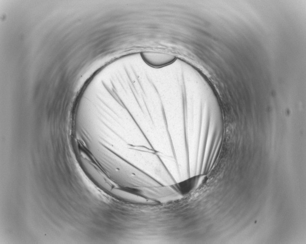 X0000087031523200705141909