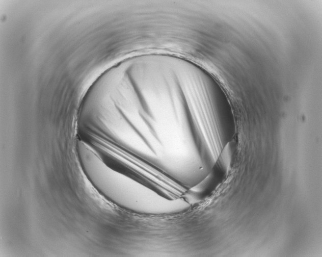 X0000087031524200705141909