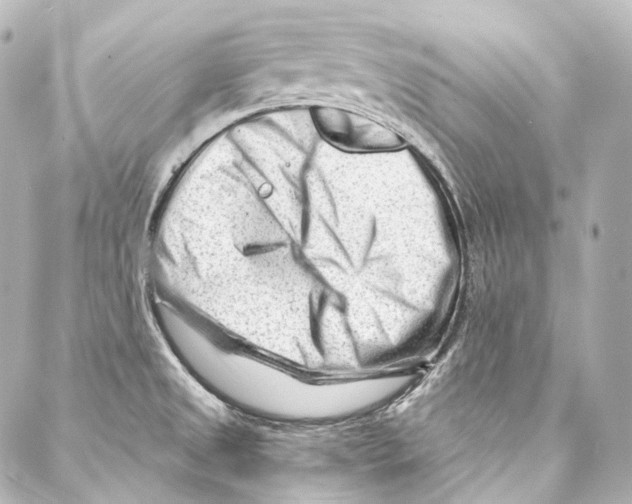 X0000087031525200705141909