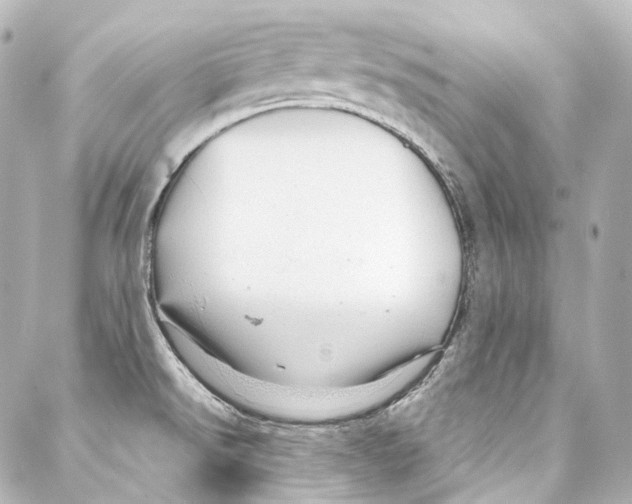 X0000087031526200705141909