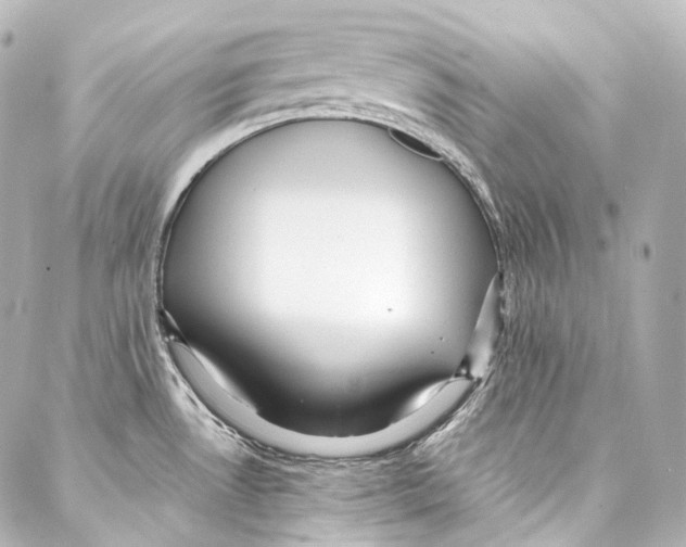 X0000087031530200705141909