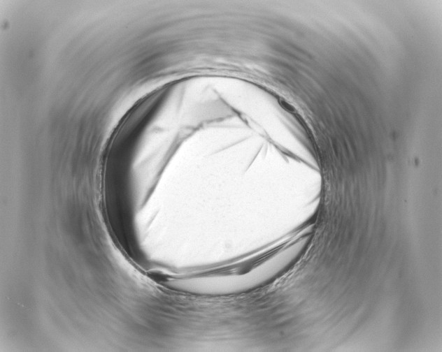 X0000087031531200705141909