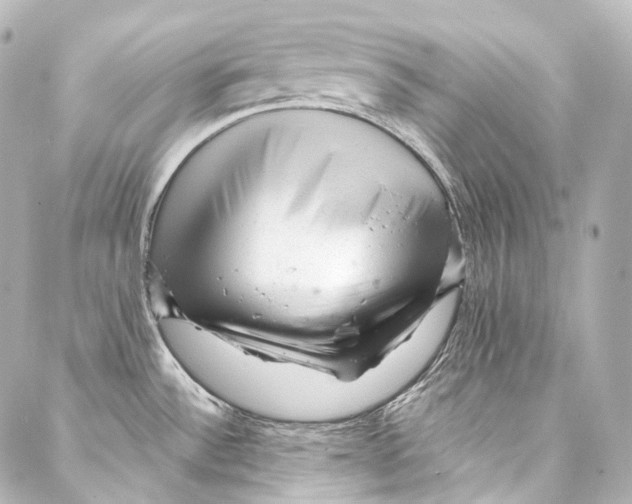 X0000087031532200705141909