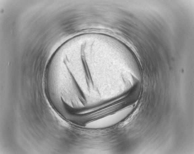 X0000087031533200705141909