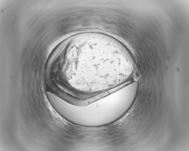 X0000087031534200705141909