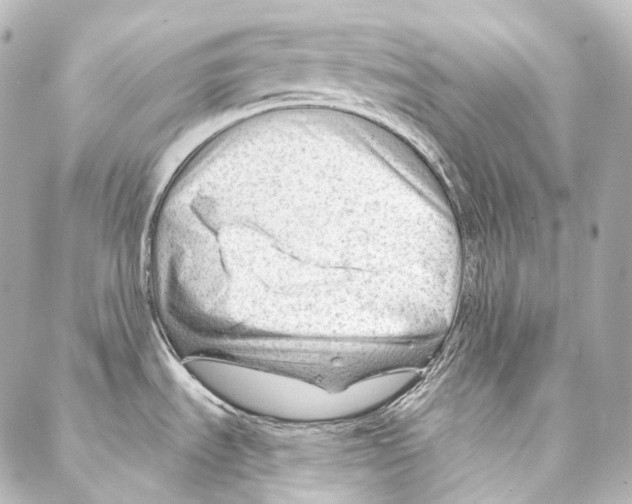 X0000087031535200705141909