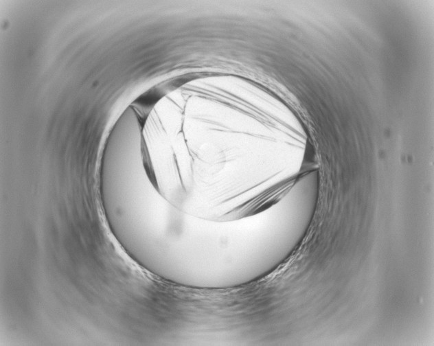 X0000087031536200705141909