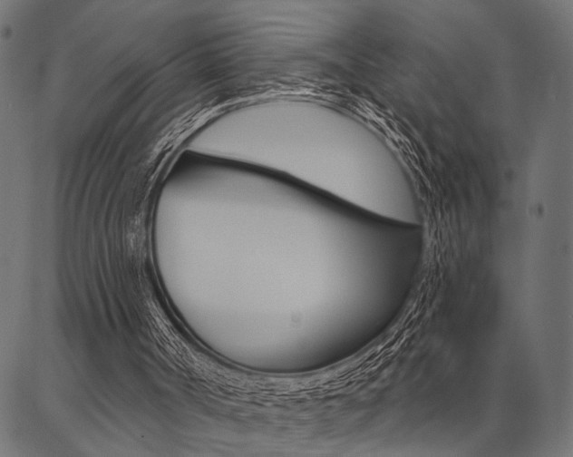X0000087040002200704180949