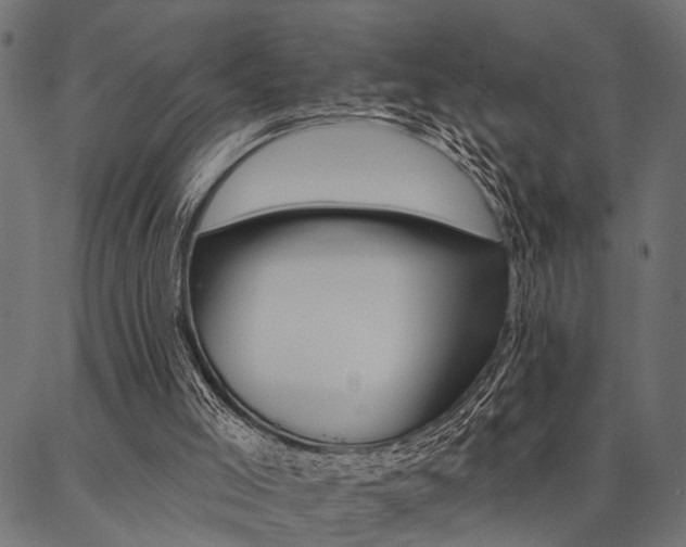 X0000087040005200704180949