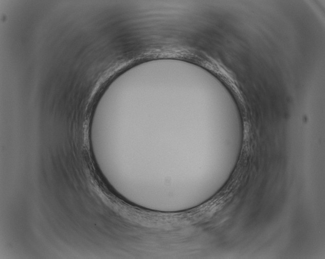 X0000087040012200704180948