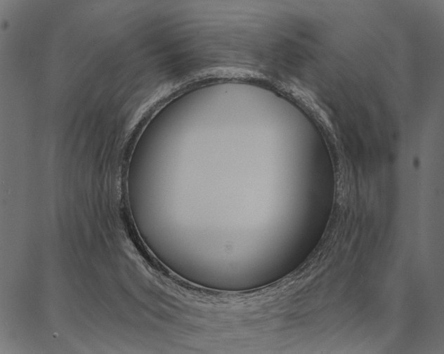 X0000087040015200704180948
