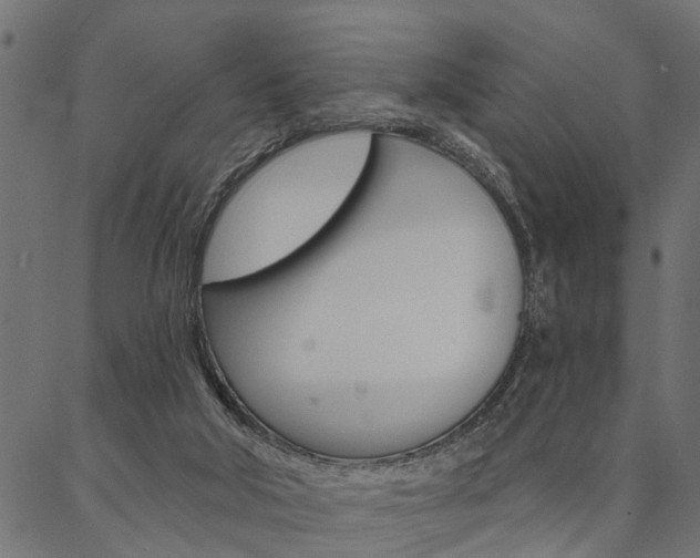 X0000087040018200704180948