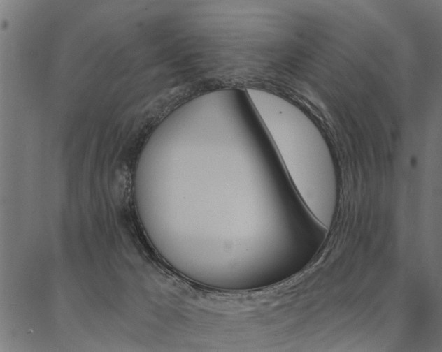 X0000087040029200704180948