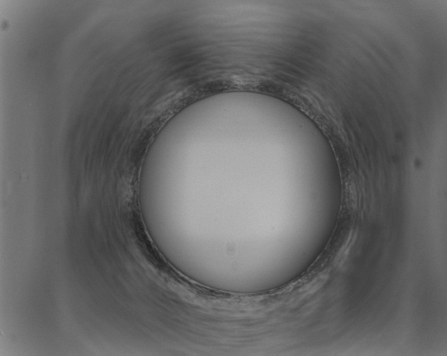 X0000087040032200704180948