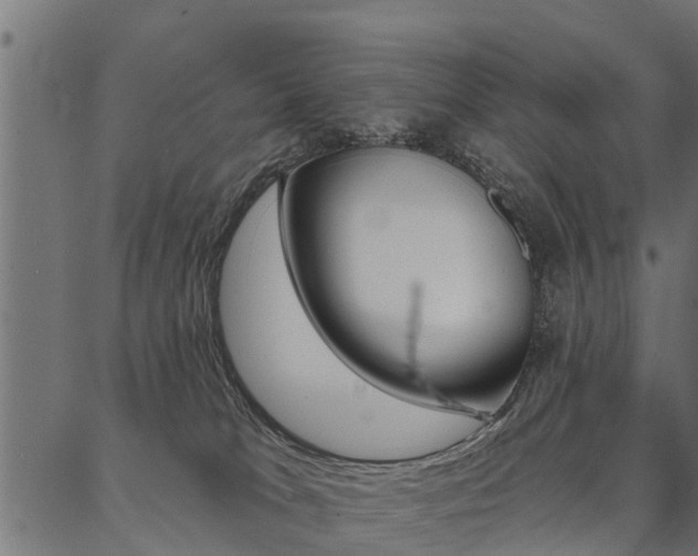 X0000087040037200704180948