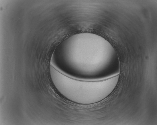 X0000087040039200704180948