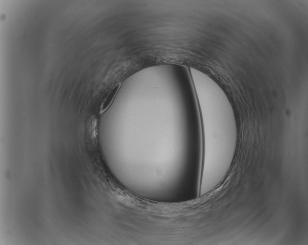 X0000087040041200704180948