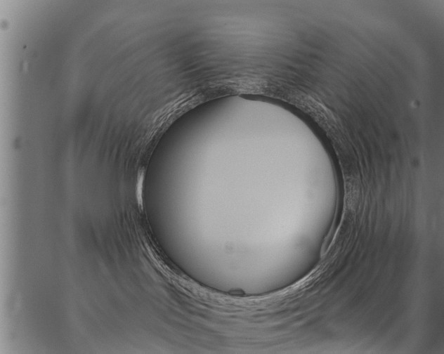 X0000087040047200704180948