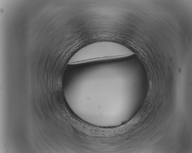 X0000087040048200704180948