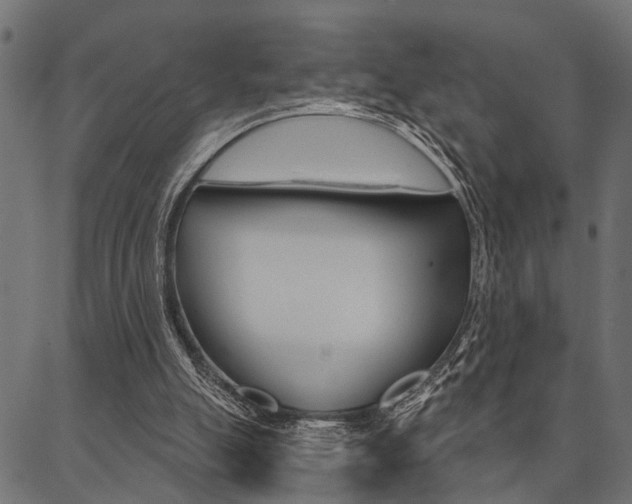 X0000087040055200704180947