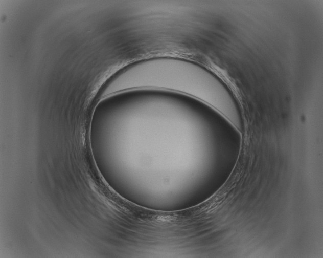 X0000087040060200704180947