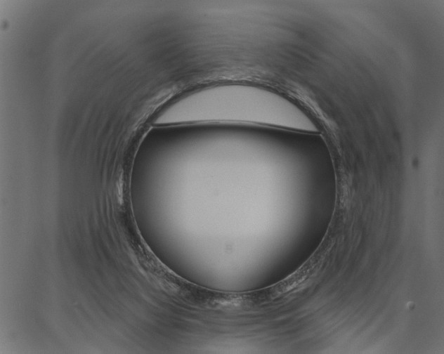 X0000087040068200704180947