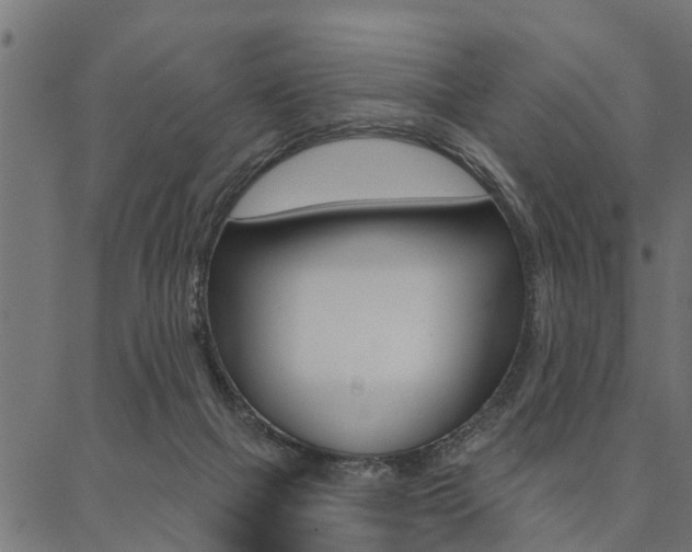 X0000087040073200704180948