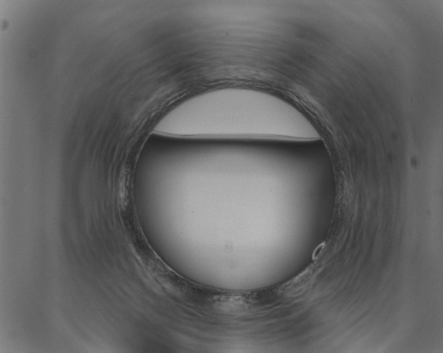 X0000087040074200704180948