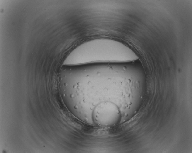 X0000087040078200704180948