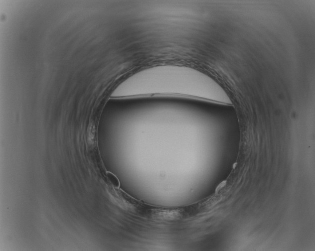 X0000087040081200704180948