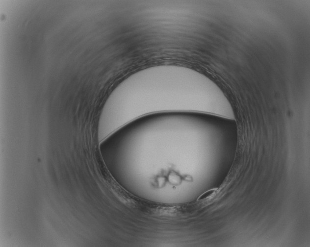 X0000087040086200704180948