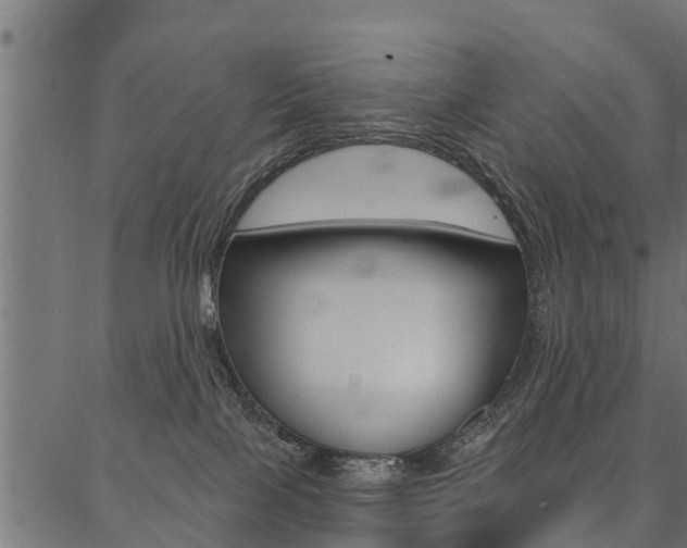 X0000087040089200704180948