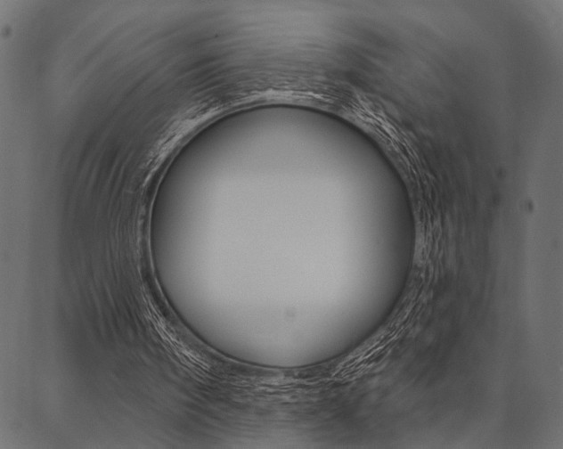 X0000087040098200704180947