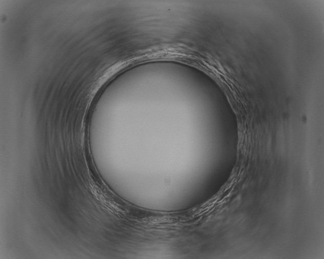 X0000087040100200704180947