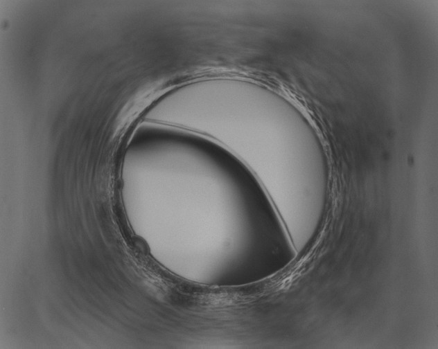 X0000087040103200704180947