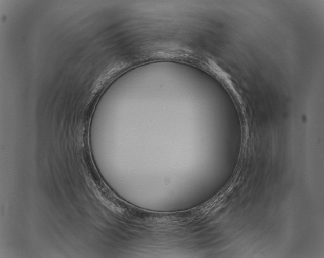 X0000087040106200704180947