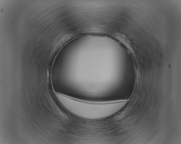 X0000087040109200704180947