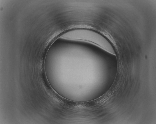 X0000087040111200704180947