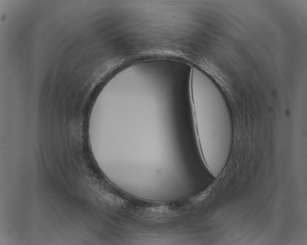 X0000087040112200704180947