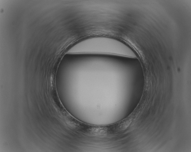 X0000087040117200704180947